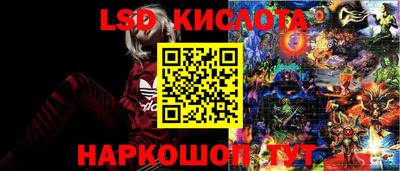 mdpv Гусев